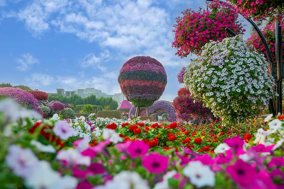 Dubai Miracle Garden Season 15 to open on October 8: Ticket prices announced