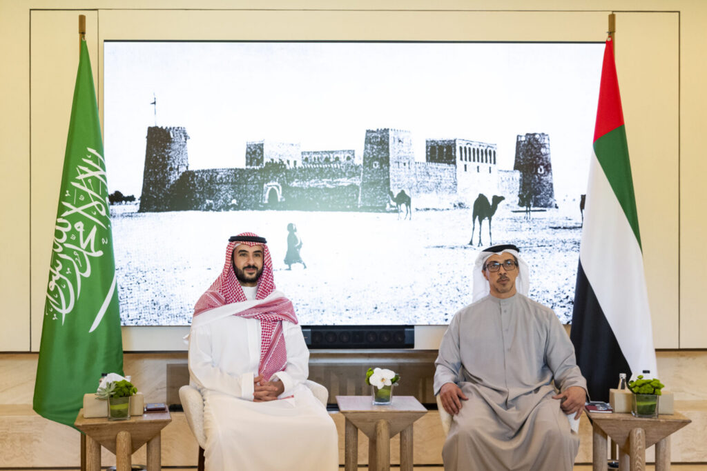 Mansour bin Zayed meets Khalid bin Salman