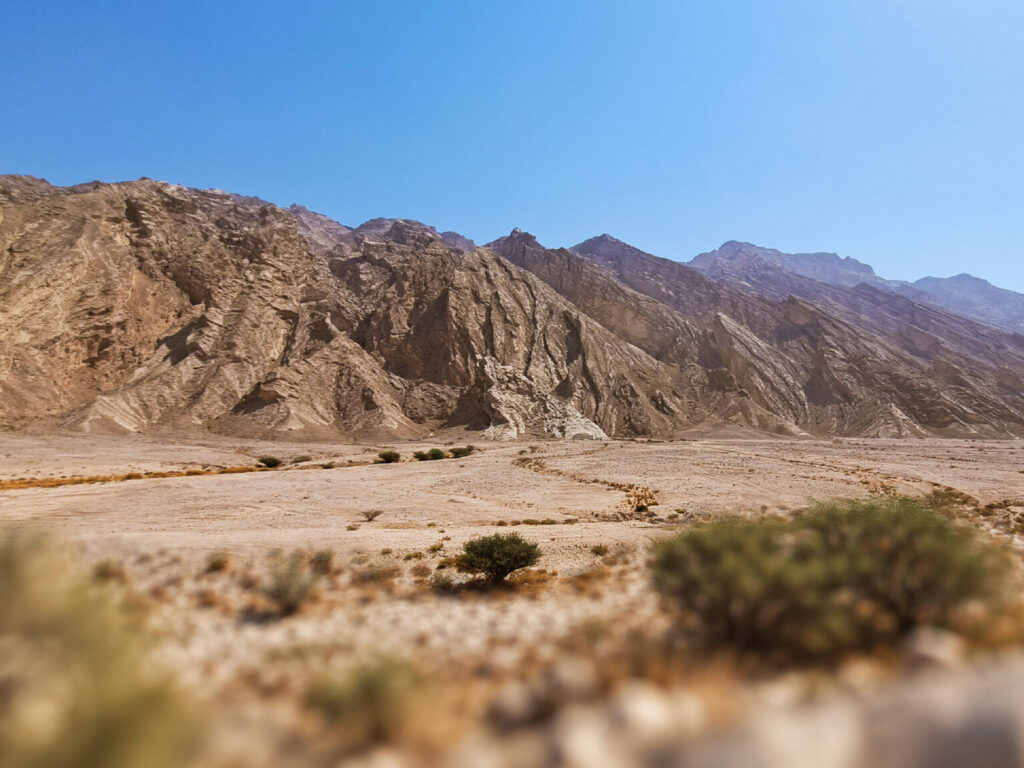 UAE University to host 8th International Conference on Engineering Geophysics