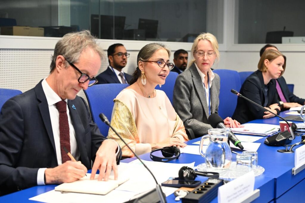 UAE steps up fight against organised crime at COP13 in Vienna